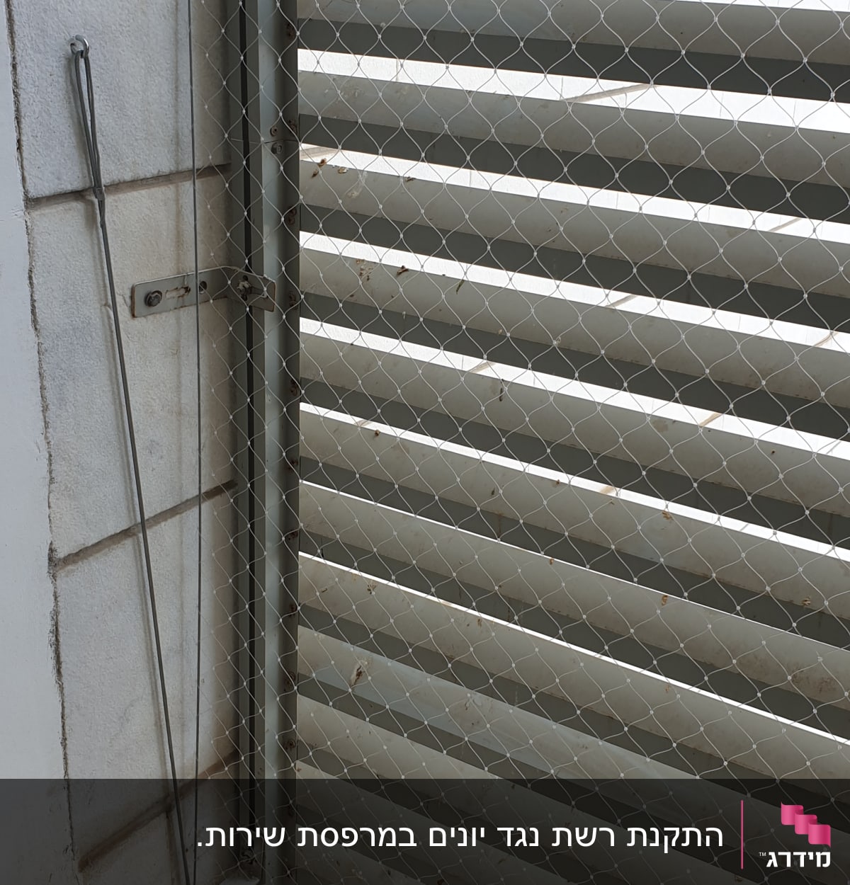 רשת מתכת מותקנת על חלון למניעת כניסת יונים